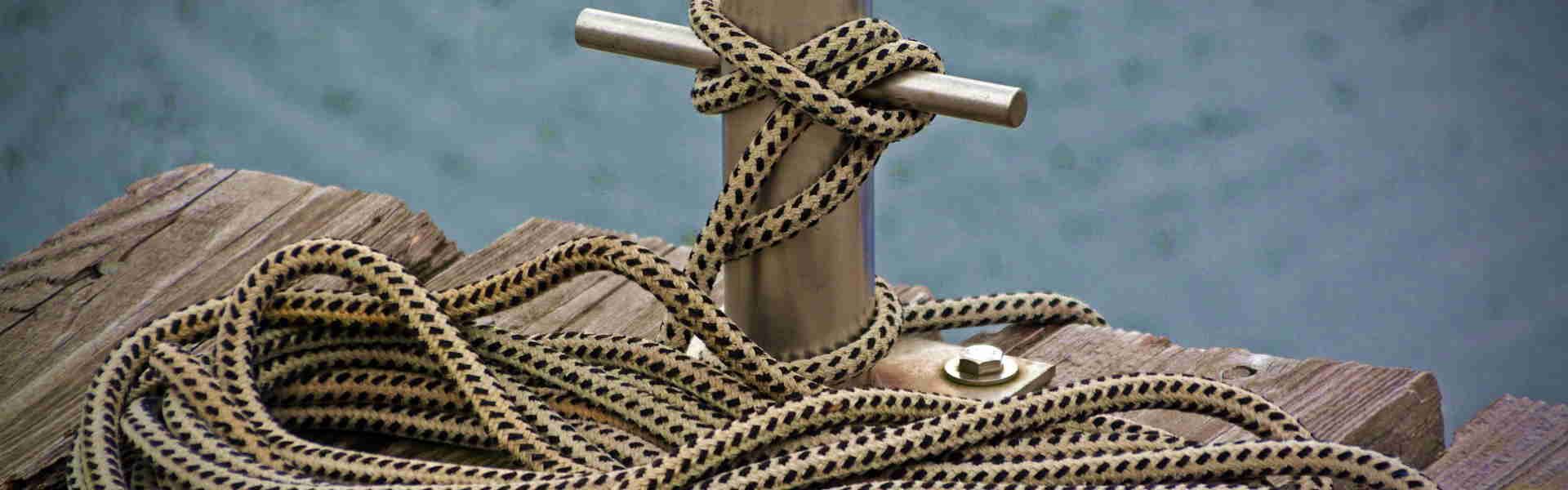 Lauras Pfotenwelt Hintergrundbild