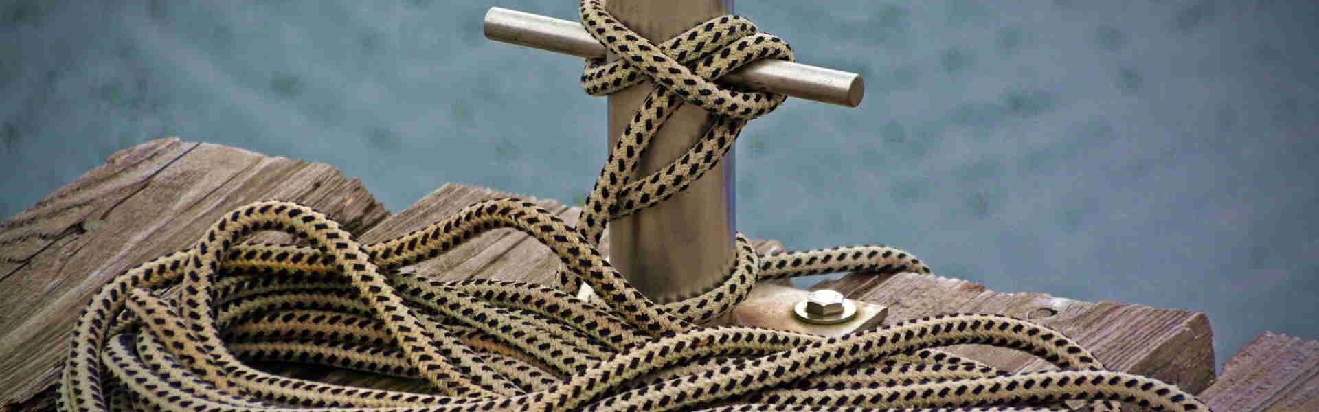 Lauras Pfotenwelt Hintergrundbild